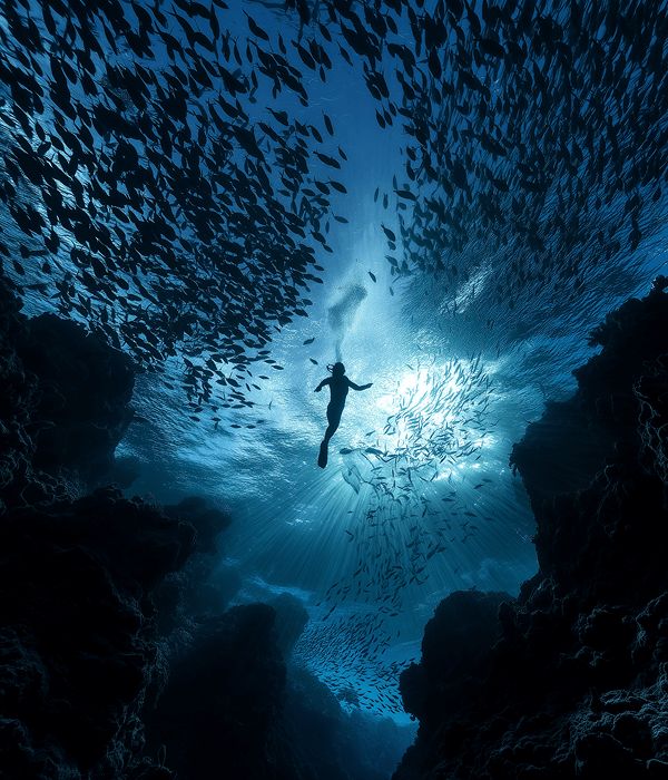 Einzelcoaching Albna Koch