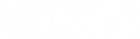 NZZ