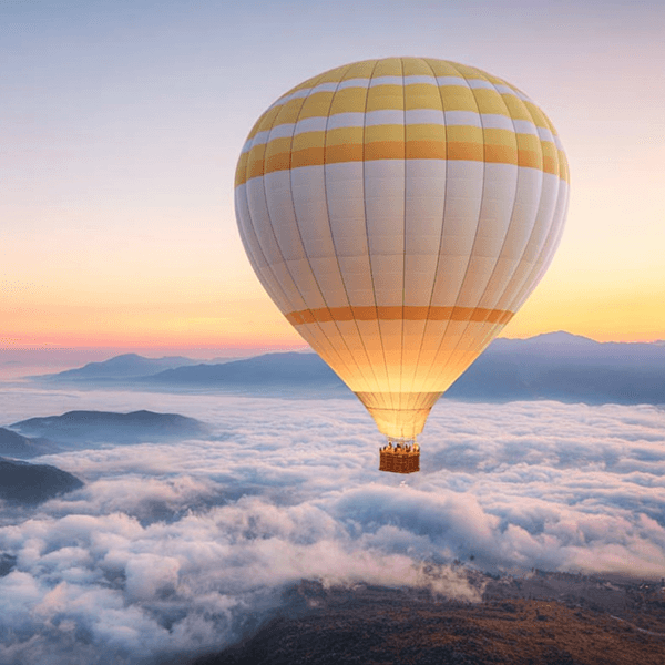 Seminare & Training Koch